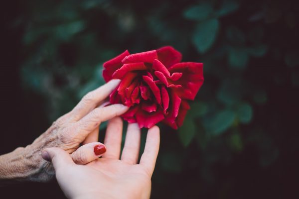 Quran Verses About Love